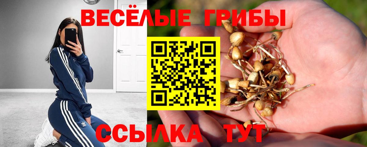 хочу   Вход с VPN  Похвистнево  Псилоцибиновые грибы MAGIC MUSHROOMS 